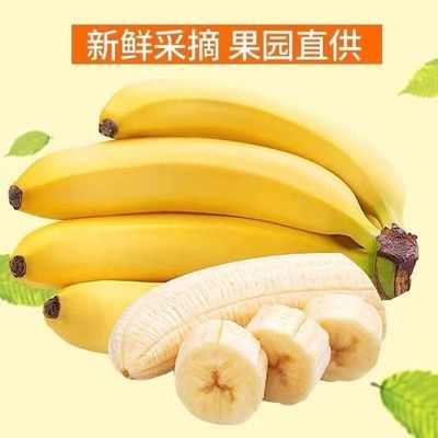 正宗云南高山甜香蕉新鲜天然当季水果芭蕉米蕉叶小米蕉大芭蕉包邮