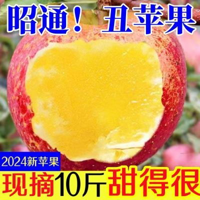 爆甜冰糖心【100%正宗】昭通丑苹果冰糖心水果应季红富士整箱