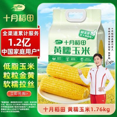 【23年新玉米】十月稻田低脂东北黄糯白糯大棒玉米8根软糯拉丝香