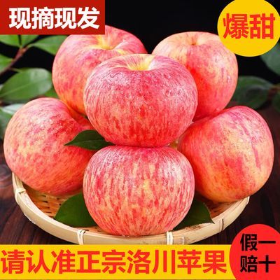 【正宗】陕西洛川红富士苹果精品脆甜多汁当季新鲜水果不打蜡整箱
