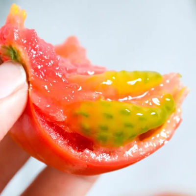 福建正宗草莓番茄柿子西红柿新鲜自然熟当季水果蔬菜