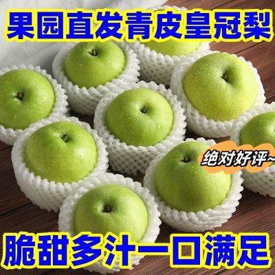 【脆甜】绿皮皇冠梨梨子新鲜水果带箱应季时令甜酥梨整箱批发