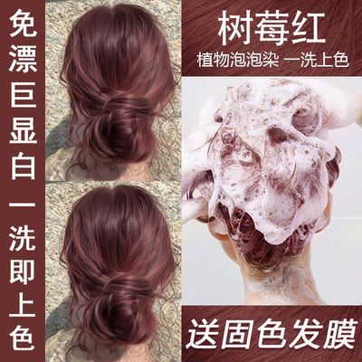 树莓红在家洗头染免漂泡沫型染发剂膏学生党洗头染2024显白流行色优惠券