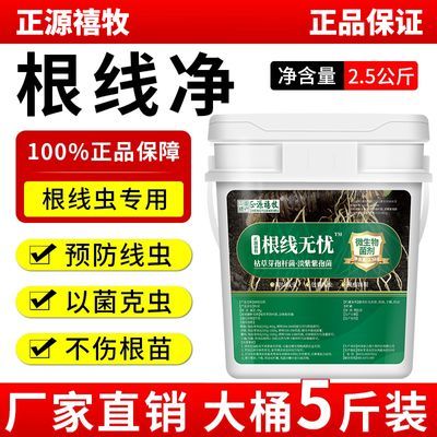 根结线虫药农用淡紫紫孢菌根茎大棚正品根线虫专用杀菌专用根线清