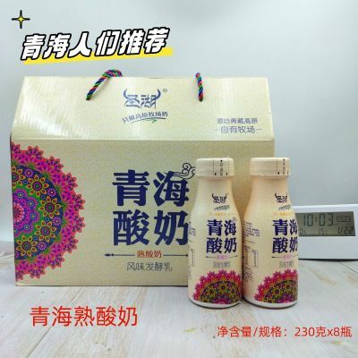 青海圣湖游牧酸奶风味230克*8瓶整箱瓶装清真原味浓香礼盒