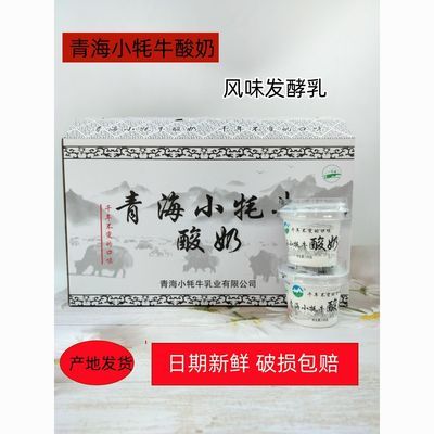 青海特产小牦牛青海老酸奶12碗 原味老酸奶整箱 风味发酵乳老酸奶