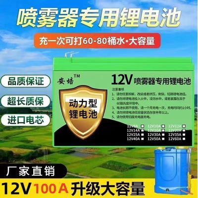 电动喷雾器锂电池12v大容量农用背负式打药机锂电瓶儿童车通用型