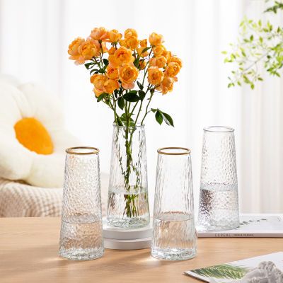 花瓶玻璃现代简约锥形网红花瓶装饰客厅摆件ins风家用轻奢透明