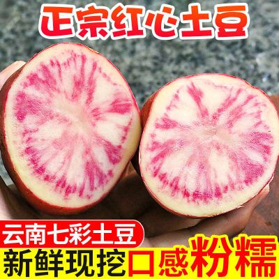 【高品质】5/9斤云南七彩土豆当季新鲜红皮红心小土豆马铃薯洋芋