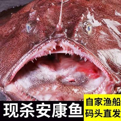 安康鱼新鲜整条开肚速冻安康鱼营养丰富肉质细腻好吃冷冻蛤蟆鱼