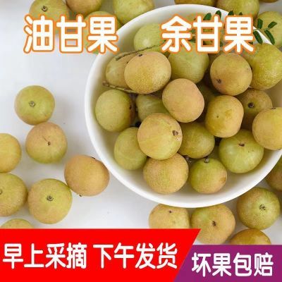 【高品质】新鲜采摘野生3/5斤油甘果余甘果牛甘果余甘子孕妇水果