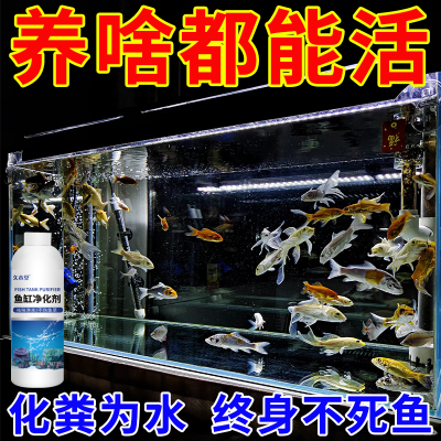 【不伤鱼虾】鱼缸净水剂去绿去黄水浑水澄清鱼缸净化水质清洁剂