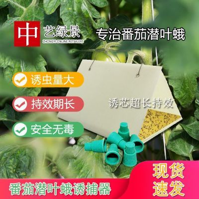 中艺绿景10套番茄潜叶叶蛾西红柿飞蛾大棚诱芯防治诱捕防虫农用