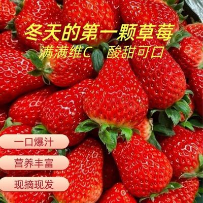 云南夏季草莓整箱独立包装现摘现发榨汁糖葫芦蛋糕烘焙奶茶店商用