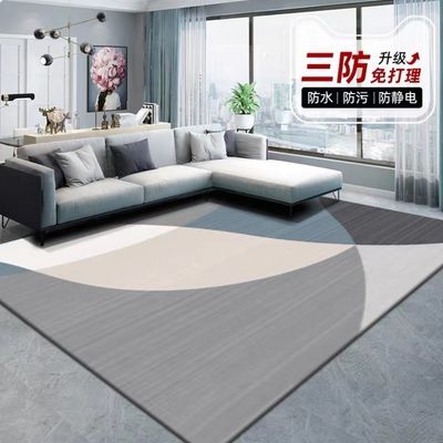 高级免洗地毯客厅2024新款轻奢沙发茶几毯家用现代简约卧室垫可擦