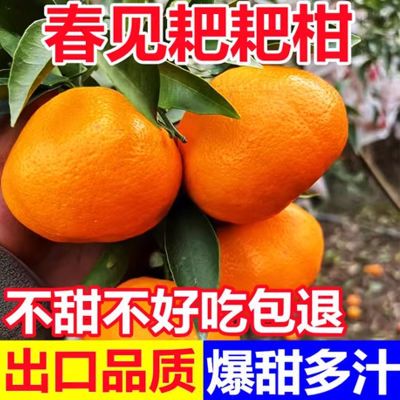 四川耙耙柑正宗春见应季新鲜孕妇水果丑八怪橘子粑粑柑桔子整箱