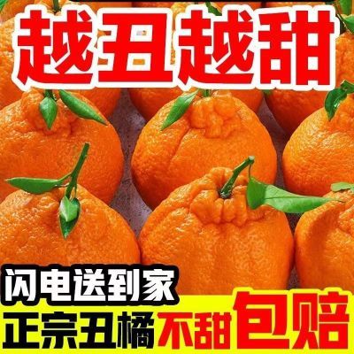 正宗四川不知火丑桔丑橘子水果新鲜应季批发耙耙柑5/10斤整箱桔子