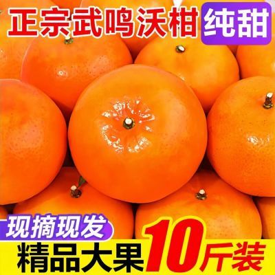 【超甜】正宗广西武鸣沃柑当季新鲜水果贵妃橘子薄皮桔子批发价