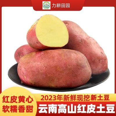 2024年新土豆云南红皮土豆红皮黄心洋芋农家自种沙面粉糯