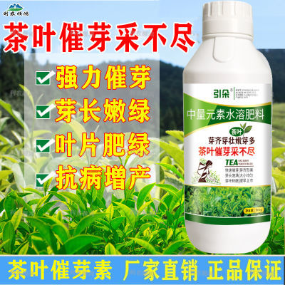 茶叶催芽采不尽药专用催芽灵茶树肥料芽嫩芽多调节生长提高产量
