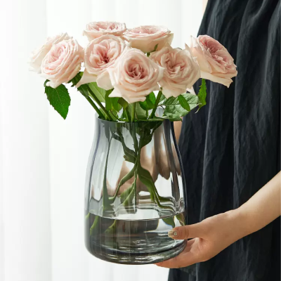 高级感轻奢玻璃花瓶摆件客厅大口径餐桌插花透明水养鲜花玫瑰花瓶