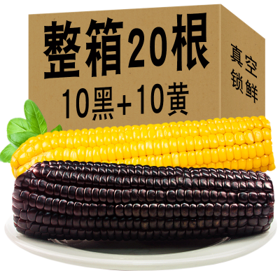 首单立减【10黑+10黄】富硒玉米新鲜糯玉米真空包装大棒260g香甜