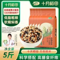十月稻田五色糙米5斤10斤低脂粗杂粮燕麦红米黑米糙麦仁500g/袋