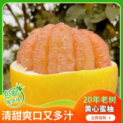 现摘橙黄柚新鲜应季水果薄皮黄金蜜柚福建平和品种黄柚蜜柚当季