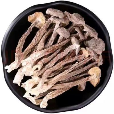 鹿茸菇干货500g净重鹿茸菇食用菌云南特产新鲜蘑菇菌类干货食材