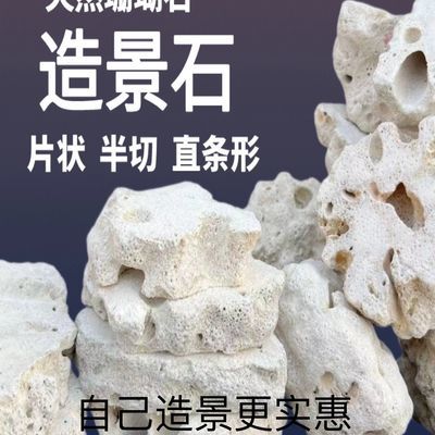 海水鱼缸造景石头片状代替活石免暴藻死石培菌天然三湖珊瑚缸装饰