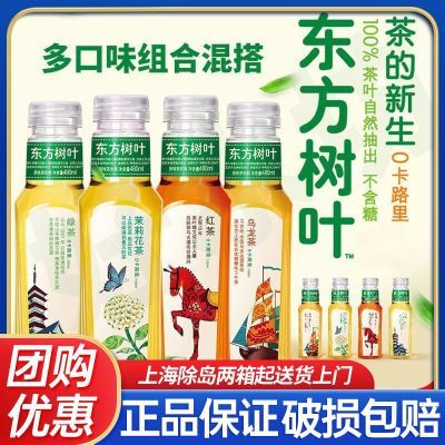 农夫山泉东方树叶绿茶500ml*15瓶整箱0卡路里健康茶饮料 多省包邮