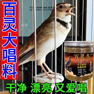 百灵鸟食饲料【不吃包退】提性大唱一吃开唱营养壮膘手工百灵鸟粮