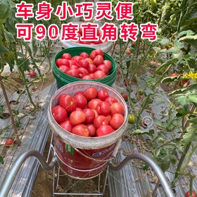 新型番茄蔬菜水果采摘运输方便快捷一次能推多桶手推车独轮车