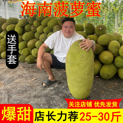 正宗海南菠萝蜜新鲜水果包邮当季孕妇波罗蜜一整个干苞黄肉批发价