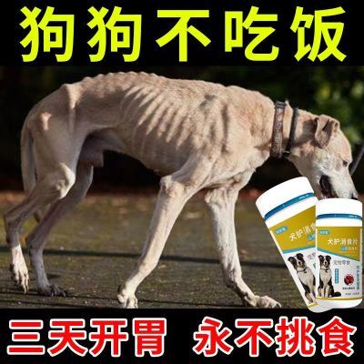 狗狗不吃饭厌食挑食日渐消瘦食欲不振犬护消食片狗狗开胃增肥长肉