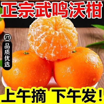 5斤【鲜甜无渣】广西武鸣沃柑微花皮