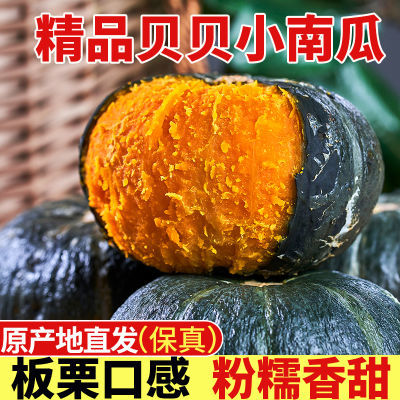 【精品】贝贝南瓜板栗味5斤宝宝辅食粉糯新鲜蔬菜正宗进口种源1斤