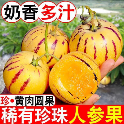 【爆甜】云南石林人参果新鲜应季水果现摘香甜圆果黄心肉树上熟