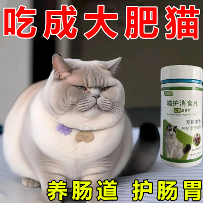 猫咪不吃东西没精神食欲不振增强免疫开胃消化猫咪不吃饭挑食厌食