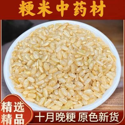 粳米中药材正宗梗米优质粳米中药煮粥精选梗米 无硫梗米优质梗米