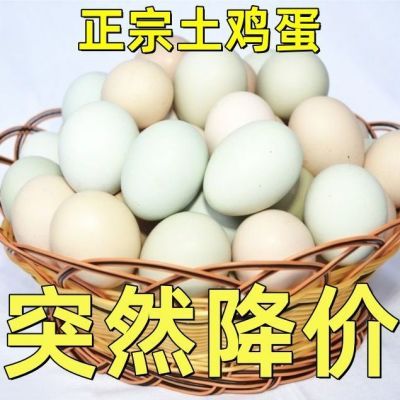 【新店冲量】新鲜土鸡蛋林下散养农家草鸡蛋初生蛋柴鸡蛋笨鸡蛋