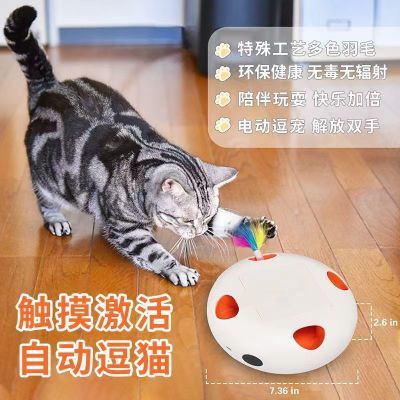 猫玩具小猫咪猫转盘球老鼠逗猫棒互动益智宠物幼猫玩具球用品充电