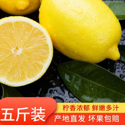 安岳四川柠檬精选水果新鲜鲜果皮薄多汁整箱泡茶批发泡水