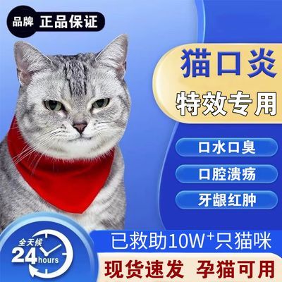 猫咪口炎专用口腔溃疡口臭口水狗狗肉芽肿食欲不振宠物口腔清洁