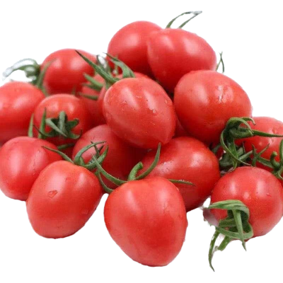 云南当季现摘圣女果小番茄西红柿新鲜樱桃番茄新鲜蔬菜孕妇水果