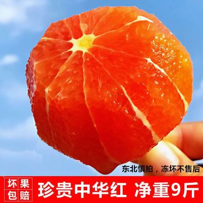 新鲜现摘橙子中华红血橙新鲜红橙应季孕妇水果