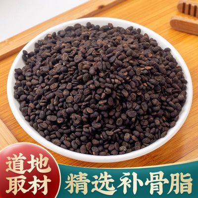 正宗补骨脂中药材 盐炒补骨脂精选补骨脂泡茶破故纸胡韭子黒故子