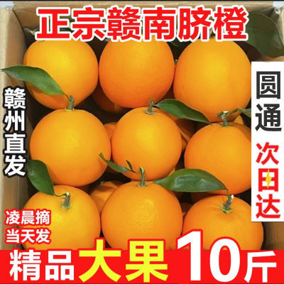 江西赣南脐橙橙子新鲜水果当季整箱正宗精品大果赣州洛梦10礼盒斤