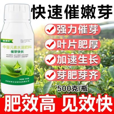 催芽快长叶面肥催芽多芽强力新芽提前发芽通用增产促长剂出芽