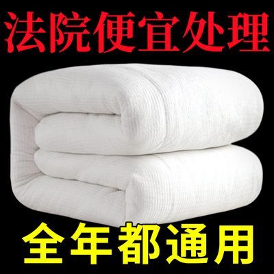 棉被冬被加厚被子褥子10斤12斤冬季单人双人被子垫盖保暖棉絮被芯